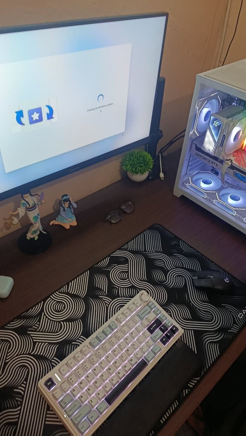Windows 11 installation service